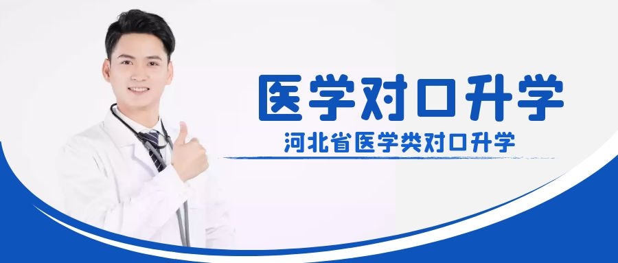 SEO配图 (19).jpg
