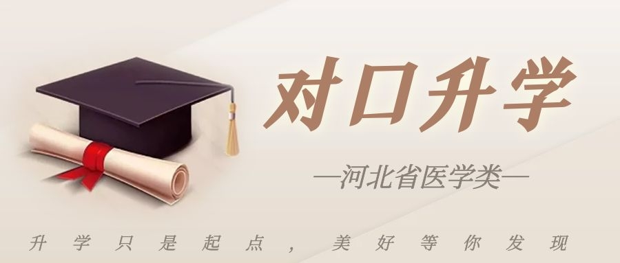 SEO配图 (25).jpg