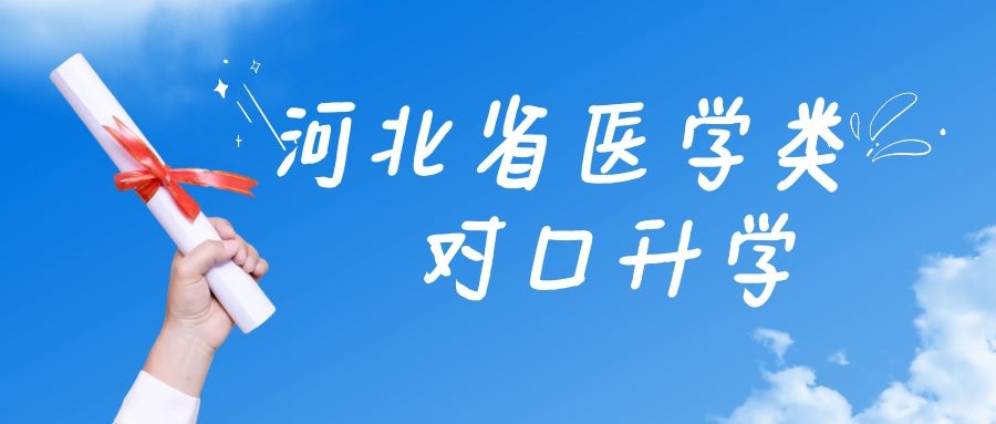 SEO配图 (26).jpg