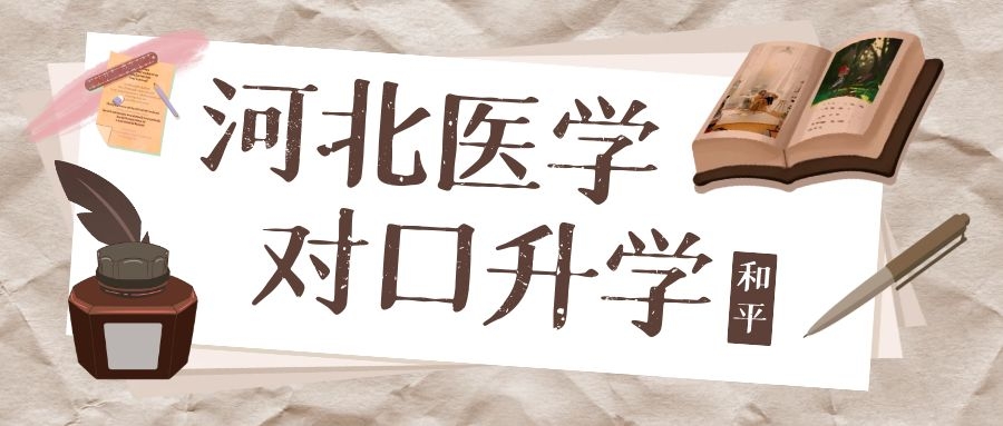 SEO配图 (13).jpg