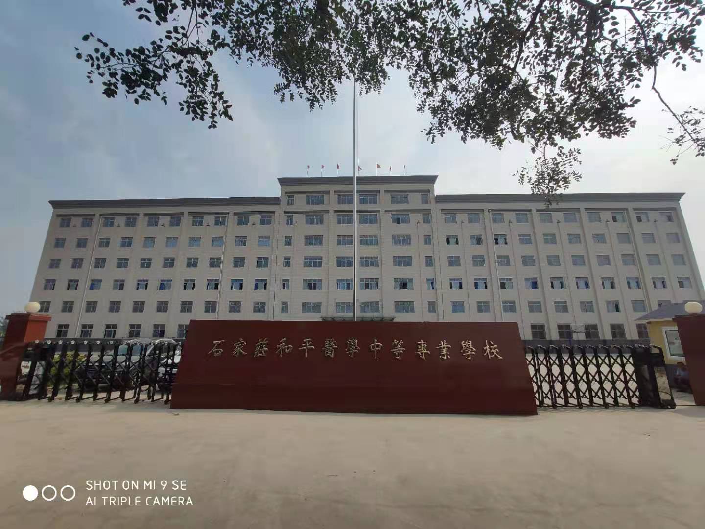 河北职业教育咨询的网站背景实力